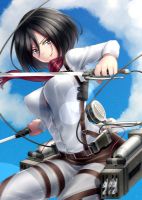 attack_on_titan_-_mikasa_20130914_105.jpg